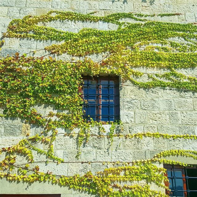  Embrace history with a  Green  Touch history  historical ... (Deïr El Qamar, Mont-Liban, Lebanon)