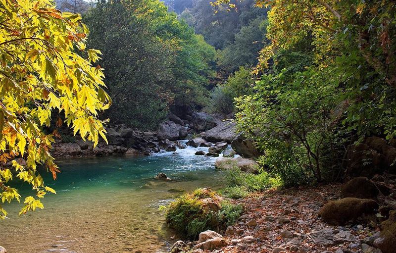 'embrace places that make u realize how tiny u and ur problems are...'''... (Chouène, Mont-Liban, Lebanon)