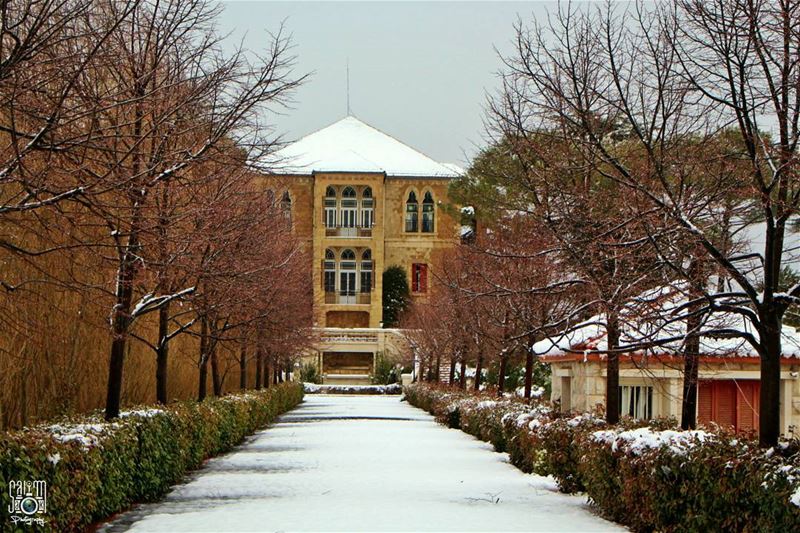 embracing the snow...  salimakphotography lebanonhouses livelovesawfar... (Sawfar, Mont-Liban, Lebanon)