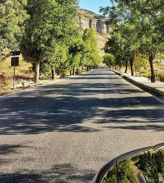Empty road and amazing nature  mountain  roadtrip  green  reflection ... (Hammana)