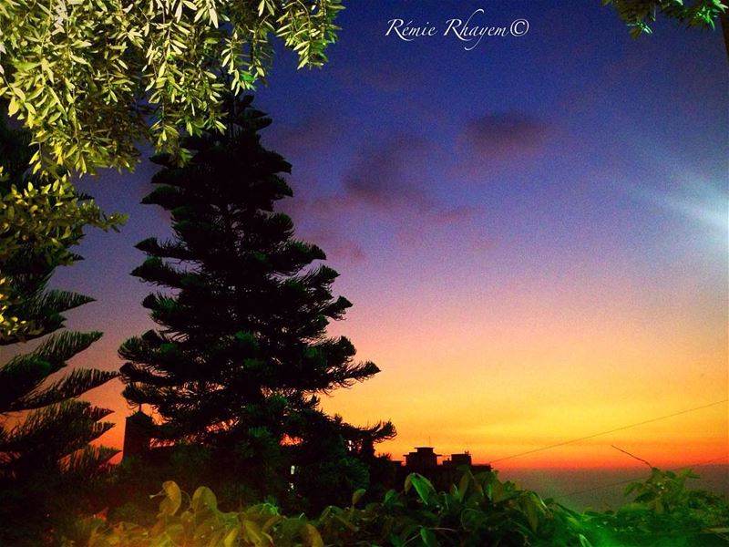 ~En fait, ça se passe doucement, loin des lumières...~ -------------------- (Bsalim, Mont-Liban, Lebanon)
