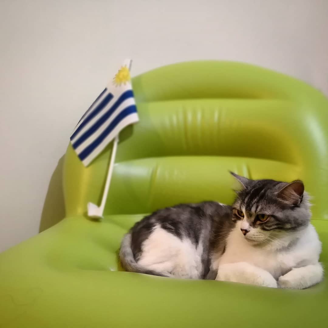 En su silla esperando la llegada de Celeste a Rusia.... Vamos  Uruguay! ...
