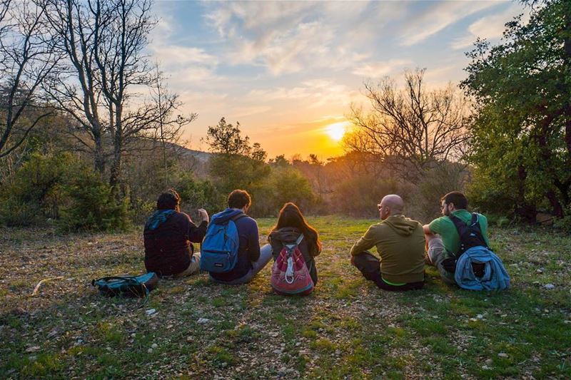 Ending the day in a kingdom  lebanon  stayandwander ... (Horsh Ehden Nature Reserve)
