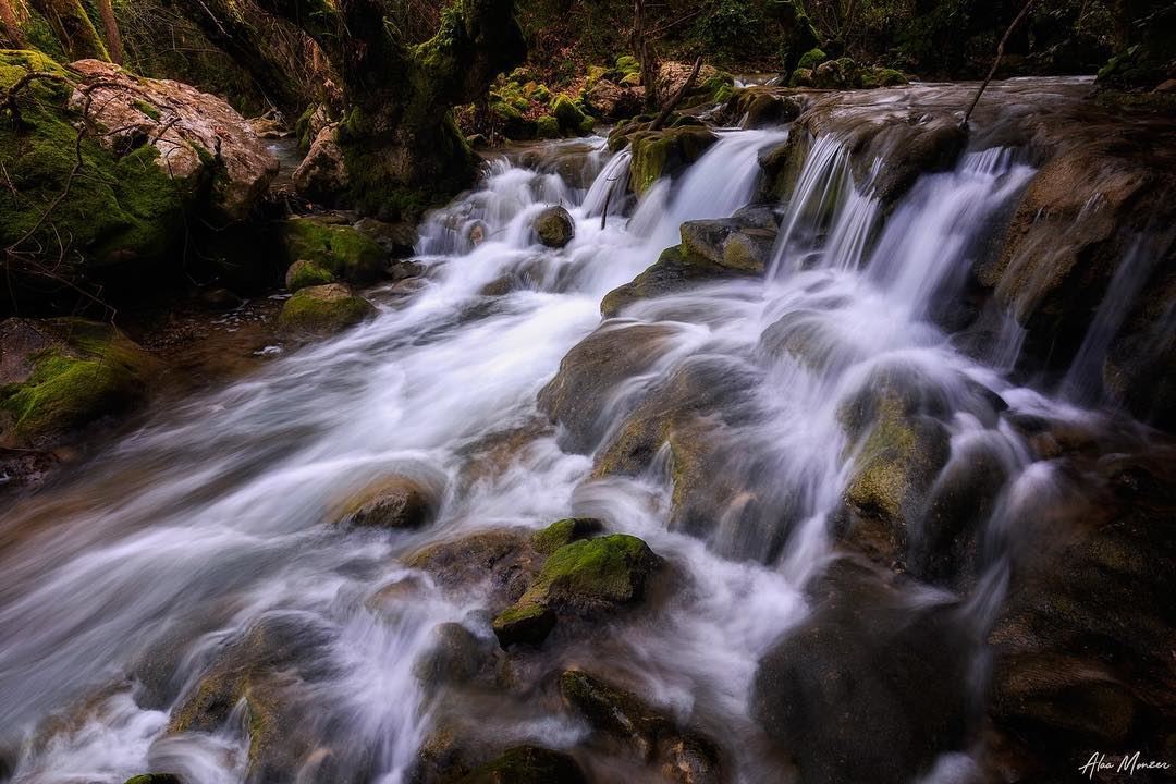 Endless stream... water  river   runningwater  lebanon  beirut  nature ...
