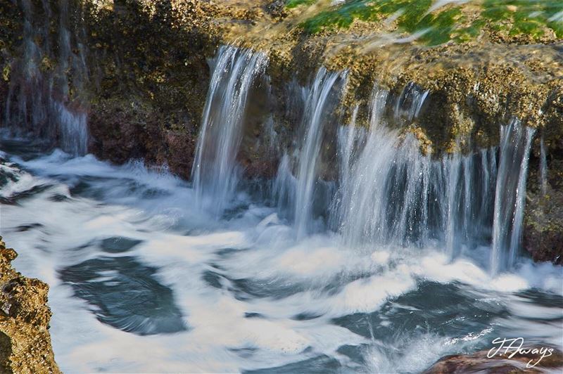  Energy is the inherent  effort of every multiplicity to become  unity. (He (Byblos, Lebanon)