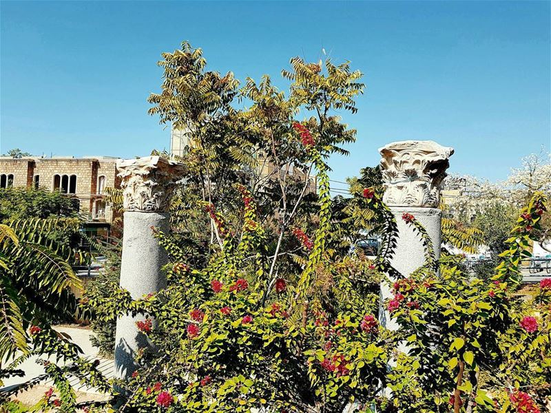 English text below ⬇Вчера я каталась на городском автобусе. "С ума сошла?! (Byblos - Jbeil)
