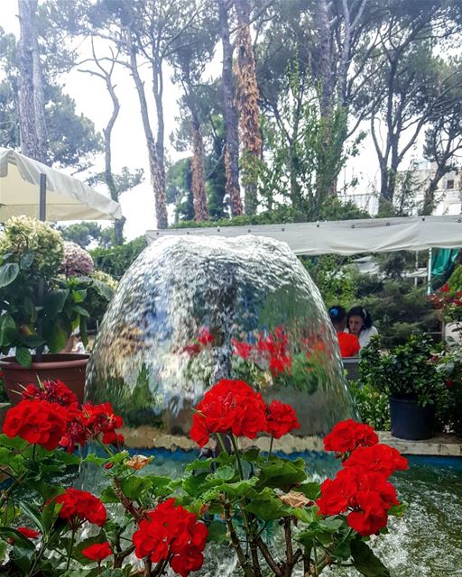 Enjoy every relaxing day you can get. Happy Sunday! ⚘⚘ ............. (Grand Hôtel Bois De Boulogne)