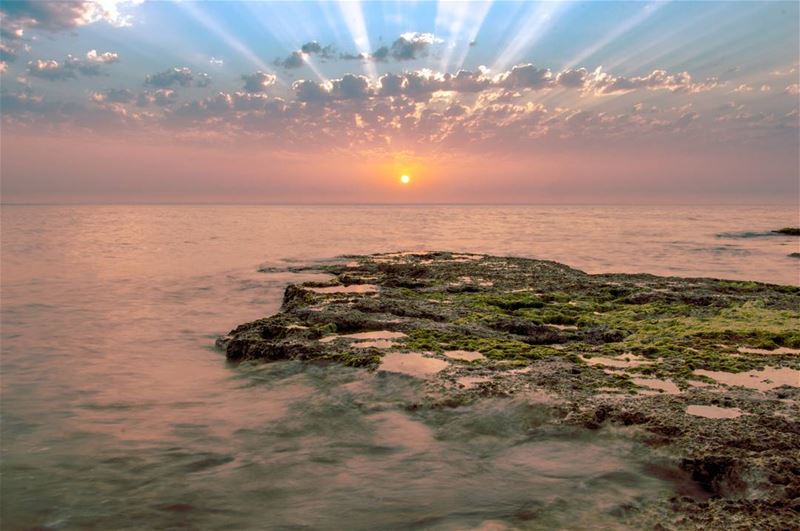Enjoy every sunset🌅🌅look forward to every sunrise 🌄🌄........ (Chekka)