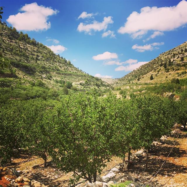 Enjoy life, and cherish each moment!!💚 goodday  positivethinking  behappy... (Akoura, Mont-Liban, Lebanon)