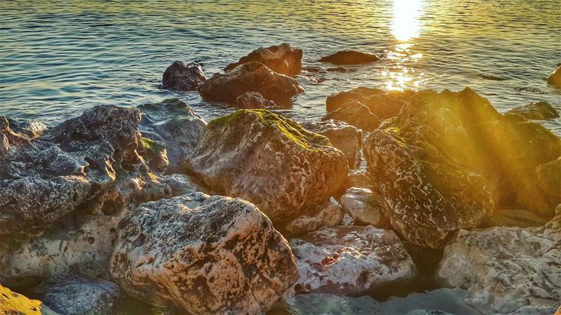 Enjoy the little things in life, because one day you will look back, and realize they were the big things.. (Mina Tripoli Lebanon)