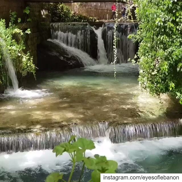 Enjoy the waterfall at Shallalat Nabeh Merched 😍@shallalat_nabeh_merched... (Shallalat Nabeh Merched)