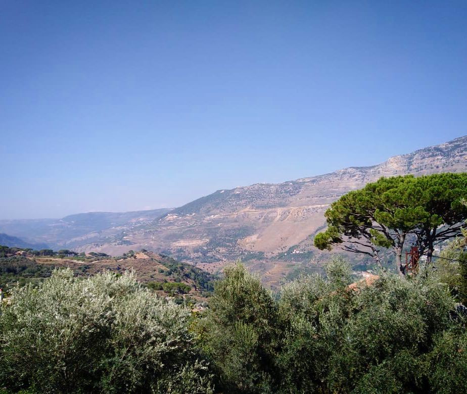 Enjoy your Sunday 💙🌳View from our amazing  southoflebanon 🇱🇧 ... (Bkesine, Al Janub, Lebanon)