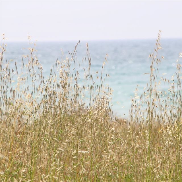 Enjoying Sunday...  lebanon  lebanon_hdr  ig_lebanon  insta_lebanon ...