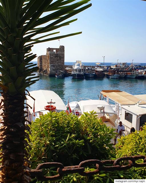 Enjoying the last days of summer in  Byblos ......... Lebanon ... (Pepe's Byblos Fishing Club)