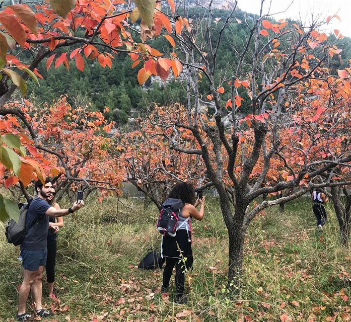 Enjoying the red fields 🍁.. takethedreamroute   fun  hiking  routes ... (Kafr Hilda, Liban-Nord, Lebanon)