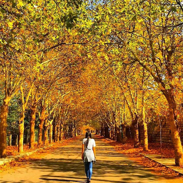 es it is indeed that time of the year where just about everything changes (Sawfar Lebanon)
