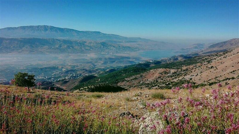 Escape! bestofleb  lebanon  ourplanetdaily  travel  travelshots ... (Chouf)