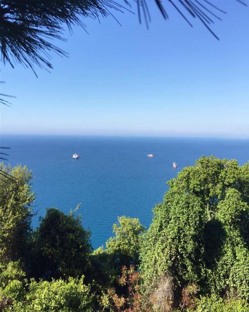 Escape to the  blue  sea  sky  tree  nature  landscape  beautifulview ...