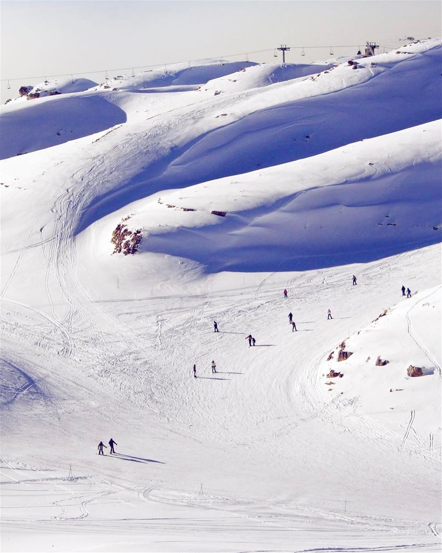 Esquiando em Faraya, Monte Líbano, onde mais parece uma farta cobertura de... (Faraya, Mont-Liban, Lebanon)