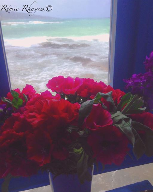 ~ et tranquillement elle regarda la mer~ (Batroûn)