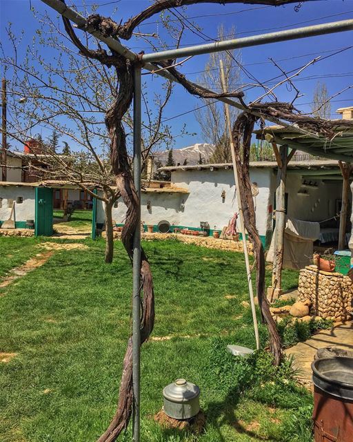 Eternally Endearing...  natureporn  traditionalhouse  oldarchitecture ... (Khan El Maksoud)