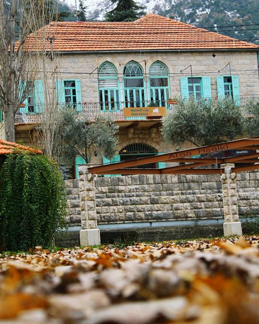 🏡 Even A Br🏗️ck Wants To Be Something 🏡 lebanon  chouf  house ... (Maasser Ech Chouf, Béqaa, Lebanon)