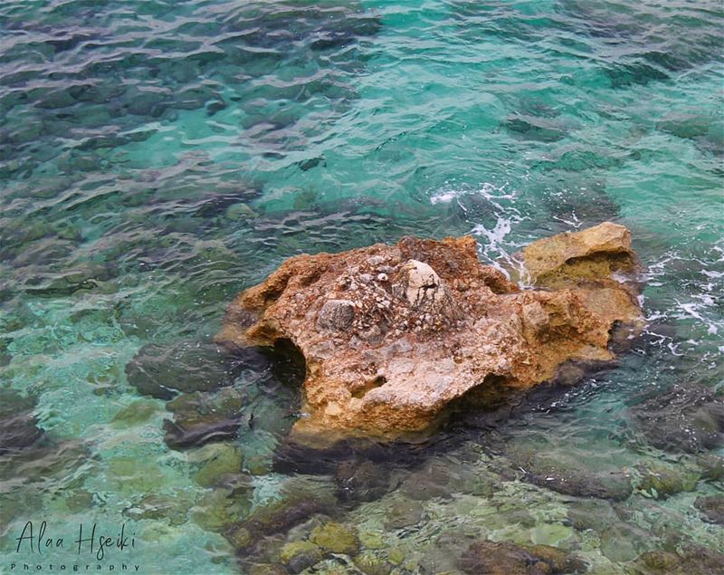 Even a Rock Moves On 🏖️... Hseiki  Lebanon  Chekka  livelovebeirut ... (Chekka)