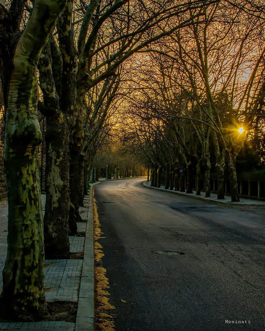 Even an empty Road leads somewhere..Right? 😃👌 =========================== (Sawfar, Mont-Liban, Lebanon)