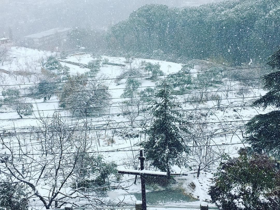 Even if I hate the snow and this feeling of cold but the view is amazing from my window....  (Chebâniyé, Mont-Liban, Lebanon)