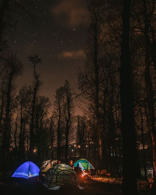 Even the withered forest, at night seems alive🔥🌌⛺.... camping... (Aakar, Liban-Nord, Lebanon)