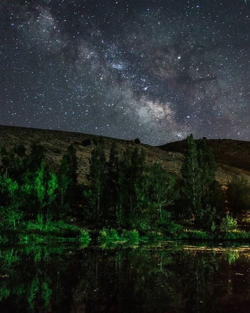 Ever wondered if those galaxies carried life, the way the trees do?🌌🌳.... (3youn Orghosh)
