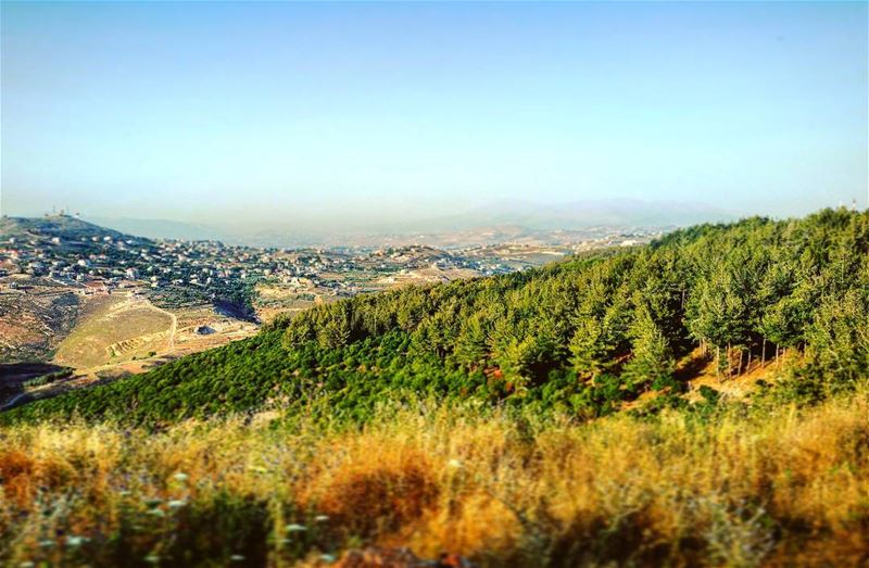 Evergreen  valley  evergreen  forest  tibnine  lebanon  igersbeirut ... (Tibnin)