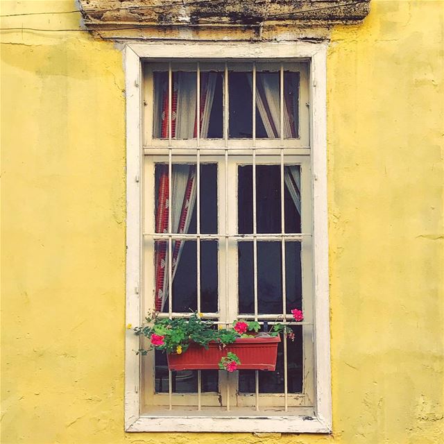 Every Beiruti window has a story 🌼 WHPwindows  Lebanon tb travel... (Beirut, Lebanon)
