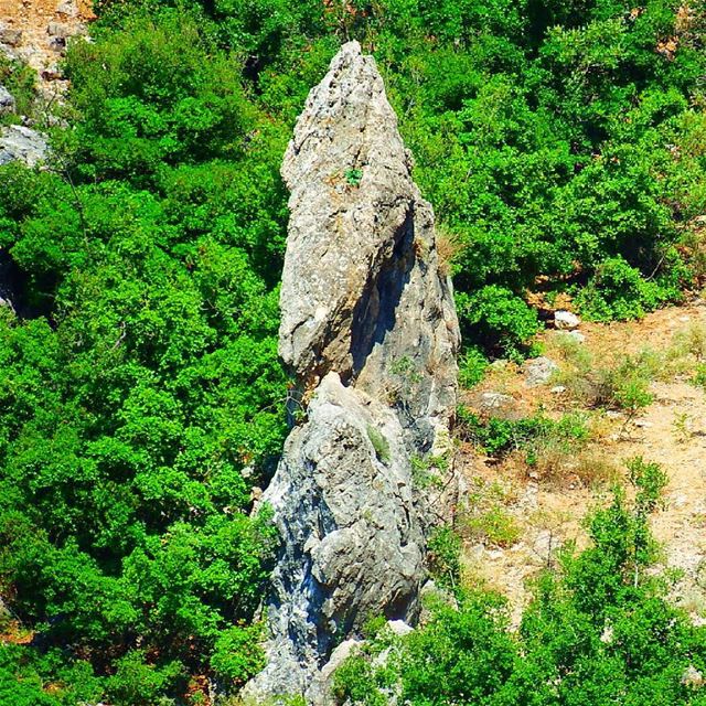 Every block of  stone has a  statue inside it and it is the task of the ... (Tannourine El Tahta)