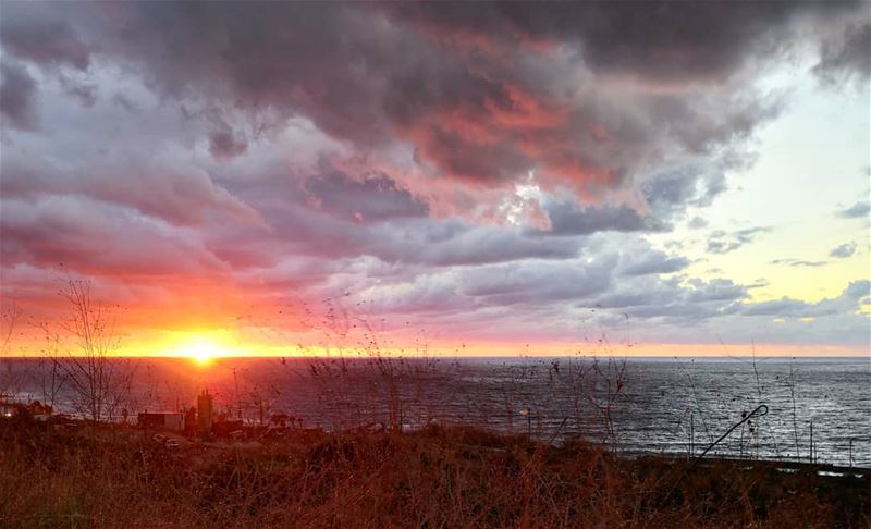 Every new beginning comes from some other beginning’s end.... (Batroun District)