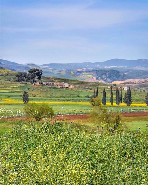 Every positive thought is a silent prayer which will change your life -... (El-Jarmaq, Al Janub, Lebanon)