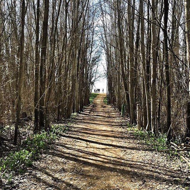 Every road has an ending, but in life, every ending is a new beginning🌲🌴🍃