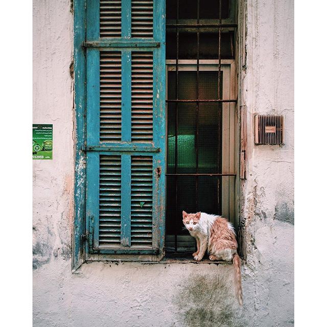 Every Thursday is dedicated to one of our favorite igers, and featuring them as our localoftheweek.  (Beirut, Lebanon)