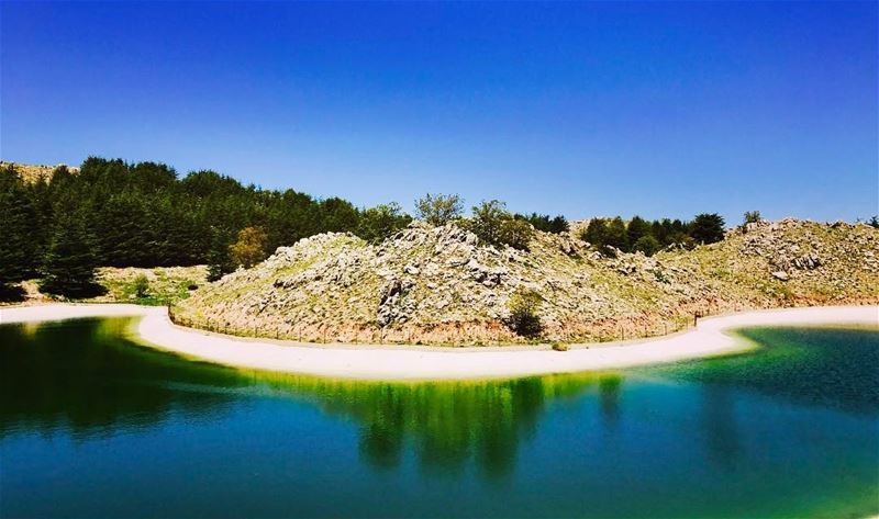 Everybody needs beauty as well as bread, places to play in and pray in,... (Al Shouf Cedar Nature Reserve)