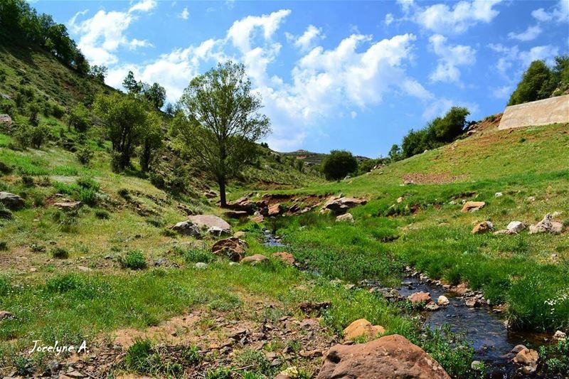 "Everyday is a second chance" tannourine  beautiful  beautifulday ... (Tannourine,  Liban-Nord,  Lebanon)