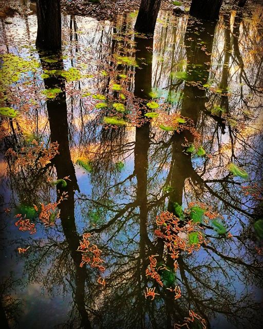 Everyone and everything that shows up in our life is a reflection of... (Aabdillé, Liban-Nord, Lebanon)