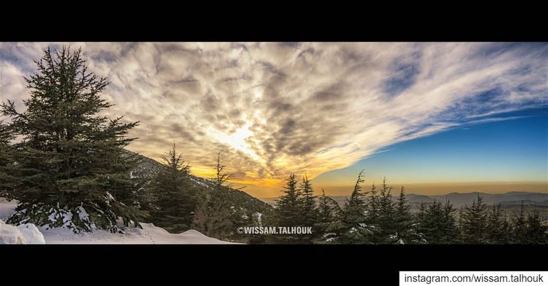 Everyone can see a beautiful view, but the challenge is how to transfer it... (Al Shouf Cedar Nature Reserve)