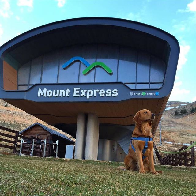 Everyone enjoys Zaarour views....BUDDY🐶 😎 zaarour  zaarourclub ... (Zaarour Club)