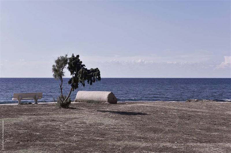 Everyone is different so deal with it and don't judge... everyone  is ... (Tyre, Lebanon)