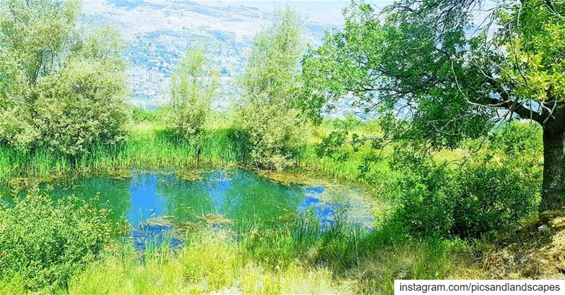 Everything about nature is so beautiful and so magical 🖼 hikingadventure...