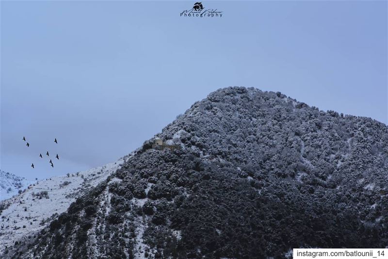 Everything has a good side, you just have to look for it 🌨️ • • •  chouf...