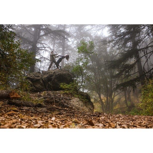 Everything in the universe has a rhythm, everything dances. ehden  forest...