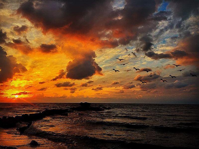 “ Everything Is All A Memory Now...Your Eyes,Your Face,Your Touch And... (Batroûn)