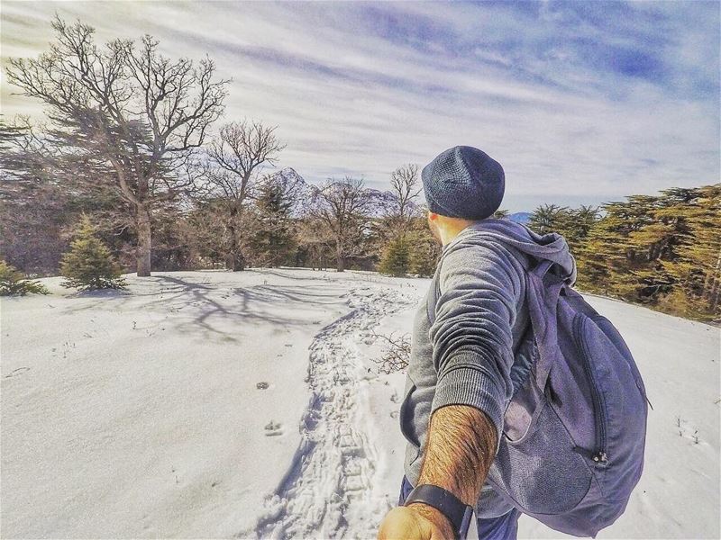 Everything is  magical when it snows ❄️ .... lebanon  mylebanon  me ... (Tannourine Cedars Nature Reserve)