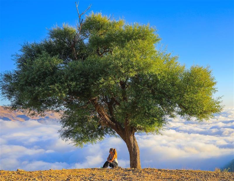 Everything starts with a dream 🎈- 📸 @haigmelikian (Qanat Bakish, Mont-Liban, Lebanon)
